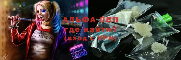 прущие грибы Алексеевка