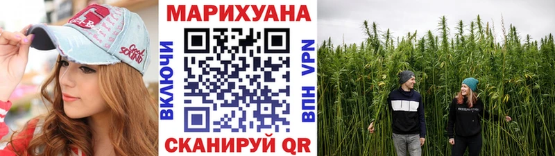 Канабис ГИДРОПОН  Томилино 